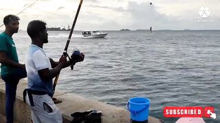 Male City fishing zone — где ловят местные в столице Мальдив?