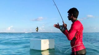 Hulhumale Beach - группер с берега и проверка снастей на Мальдивах