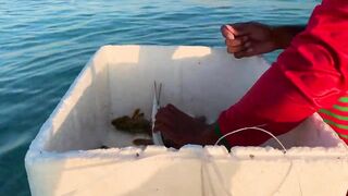 Hulhumale Beach - группер с берега и проверка снастей на Мальдивах