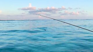 Hulhumale Beach - группер с берега и проверка снастей на Мальдивах