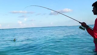 Hulhumale Beach - группер с берега и проверка снастей на Мальдивах