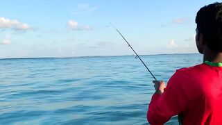 Hulhumale Beach - группер с берега и проверка снастей на Мальдивах