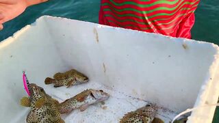 Hulhumale Beach - группер с берега и проверка снастей на Мальдивах