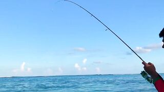 Hulhumale Beach - группер с берега и проверка снастей на Мальдивах