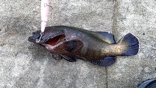 Hulhumalé Phase II: прогулка, забросы и места для спиннинга