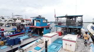 Рыбный рынок Мале и туна бирьяни – совместная готовка в Хулхумале