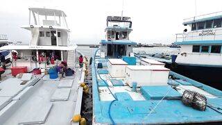 Рыбный рынок Мале и туна бирьяни – совместная готовка в Хулхумале