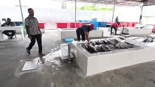 Рыбный рынок Мале и туна бирьяни – совместная готовка в Хулхумале