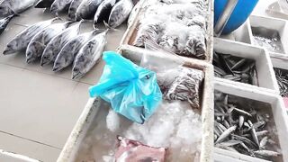 Рыбный рынок Мале и туна бирьяни – совместная готовка в Хулхумале