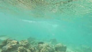 Vilimale: скрытый подводный уголок и почему сюда хотят ныряльщики