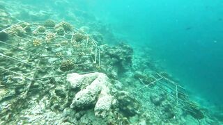 Vilimale: скрытый подводный уголок и почему сюда хотят ныряльщики