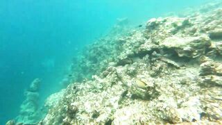 Vilimale: скрытый подводный уголок и почему сюда хотят ныряльщики