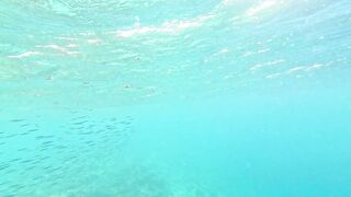 Vilimale: скрытый подводный уголок и почему сюда хотят ныряльщики