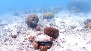 Vilimale’ бюджетно: городской остров, пляжи, кафе и удобные споты для снорка