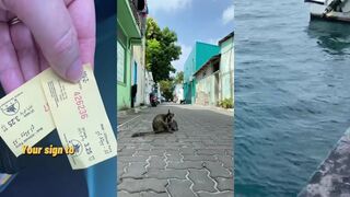 Быстрый вояж на Вилимале из Мале – маршрут 1–2 часа туда-обратно