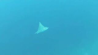 Himmafushi — бюджетный отдых, серф и вечерние забросы на рифе