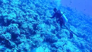 Himmafushi — бюджетный отдых, серф и вечерние забросы на рифе