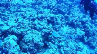 Himmafushi — бюджетный отдых, серф и вечерние забросы на рифе