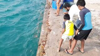 Морская рыбалка на Himmafushi днем: что ловят у рифа и у пирса