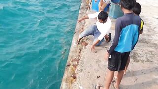 Морская рыбалка на Himmafushi днем: что ловят у рифа и у пирса