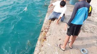 Морская рыбалка на Himmafushi днем: что ловят у рифа и у пирса