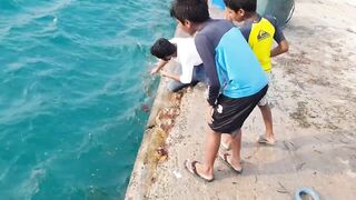 Морская рыбалка на Himmafushi днем: что ловят у рифа и у пирса