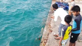 Морская рыбалка на Himmafushi днем: что ловят у рифа и у пирса