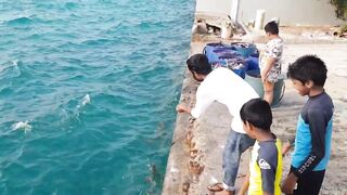 Морская рыбалка на Himmafushi днем: что ловят у рифа и у пирса