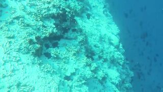 Himmafushi 2018 — Banana Reef с дрона и рыбзавод на Мальдивах