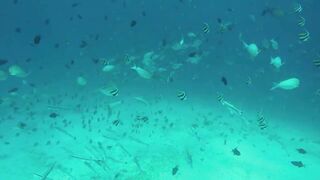 Himmafushi 2018 — Banana Reef с дрона и рыбзавод на Мальдивах