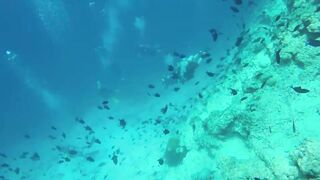 Himmafushi 2018 — Banana Reef с дрона и рыбзавод на Мальдивах