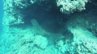 Himmafushi 2018 — Banana Reef с дрона и рыбзавод на Мальдивах