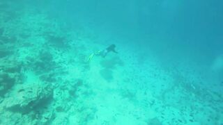 Himmafushi 2018 — Banana Reef с дрона и рыбзавод на Мальдивах