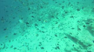 Himmafushi 2018 — Banana Reef с дрона и рыбзавод на Мальдивах