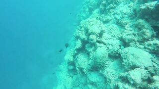 Himmafushi 2018 — Banana Reef с дрона и рыбзавод на Мальдивах