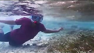 Снорклинг на Химмафуши – рифовые плато и быстрые скаты