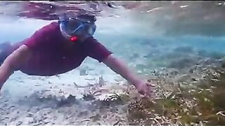 Снорклинг на Химмафуши – рифовые плато и быстрые скаты