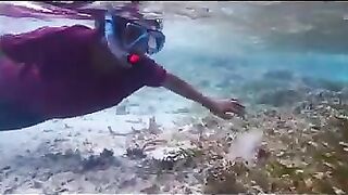 Снорклинг на Химмафуши – рифовые плато и быстрые скаты