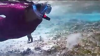 Снорклинг на Химмафуши – рифовые плато и быстрые скаты