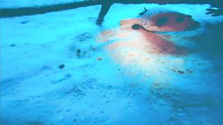 Хаус-риф Four Seasons Kuda Huraa – коралловая кромка и рифовая мелочь