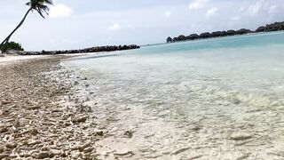Huraa Island, Maldives: канал, лодки-дони и вечерние силуэты пальм