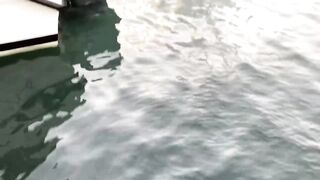 Huraa Island, Maldives: канал, лодки-дони и вечерние силуэты пальм