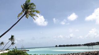 Huraa Island, Maldives: канал, лодки-дони и вечерние силуэты пальм