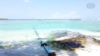 Тулусду, Мальдивы — обзор острова и точки для удочки