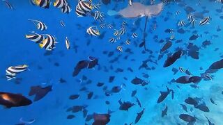 Thulusdhoo, local island прогулка и быт, как живут между рейсами