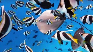 Thulusdhoo, local island прогулка и быт, как живут между рейсами