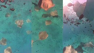 Thulusdhoo рядом со скатами и безопасные дистанции для снорклинга