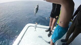 Диффуши район — морская рыбалка с дони: сезон 2022/2023, вечерний клев и жарка