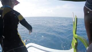 Диффуши район — морская рыбалка с дони: короткий обзор уловов и береговой быт