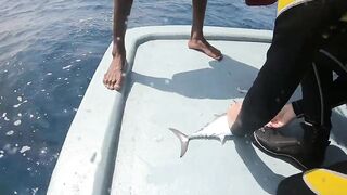 Диффуши район — морская рыбалка с дони: короткий обзор уловов и береговой быт